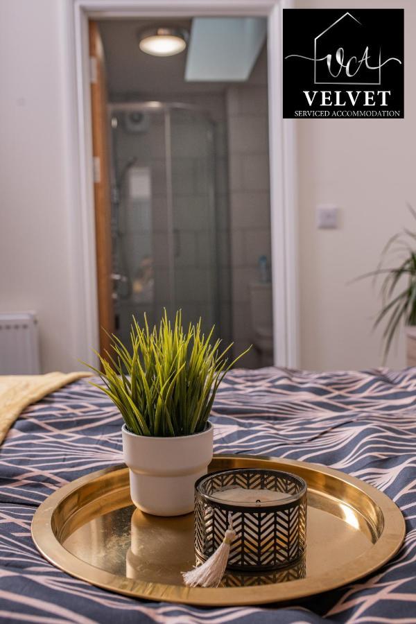 1 Bed House , Free Wifi,Free Parking,Leasure,Business Lägenhet Swansea Exteriör bild