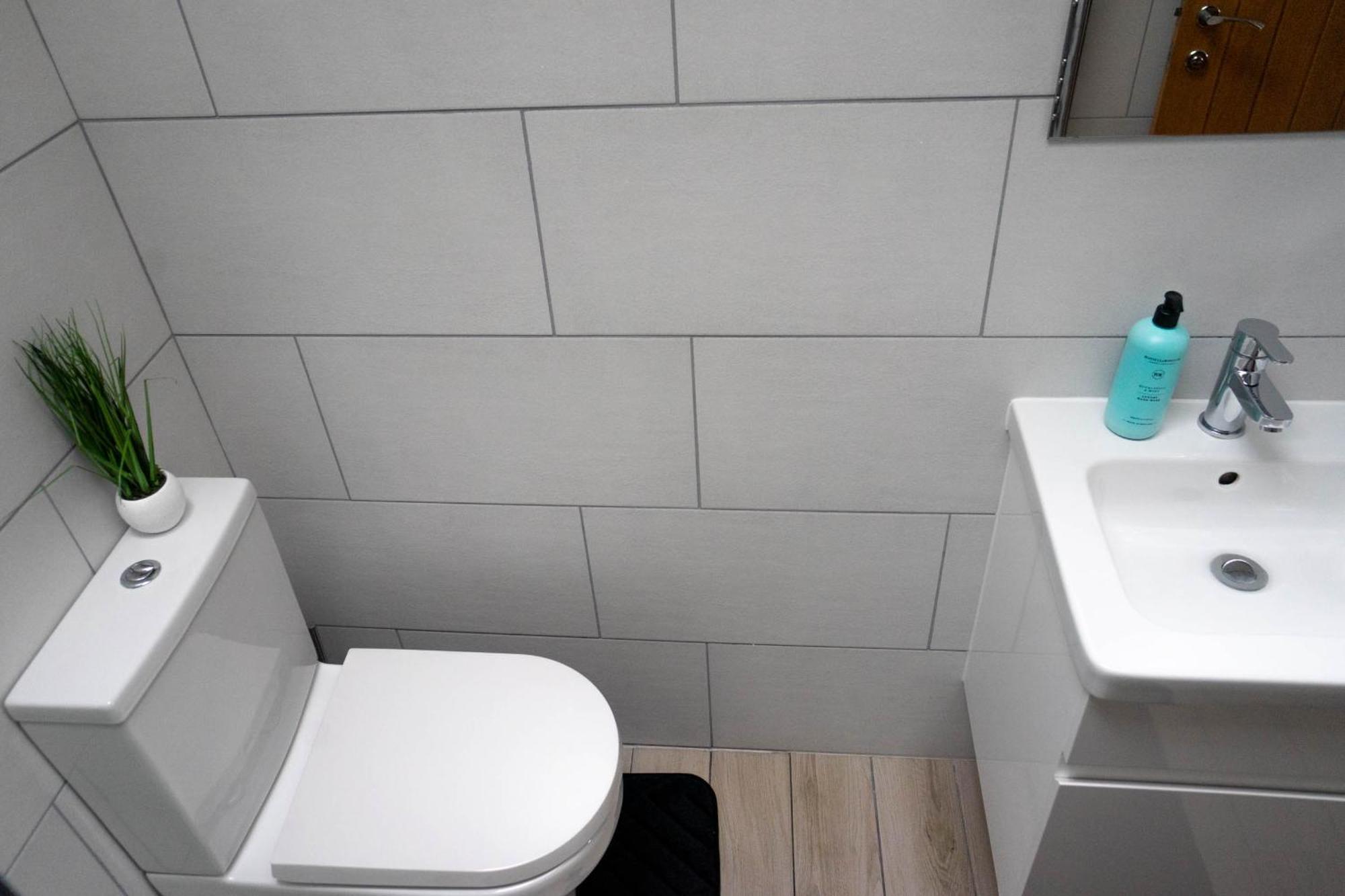 1 Bed House , Free Wifi,Free Parking,Leasure,Business Lägenhet Swansea Exteriör bild